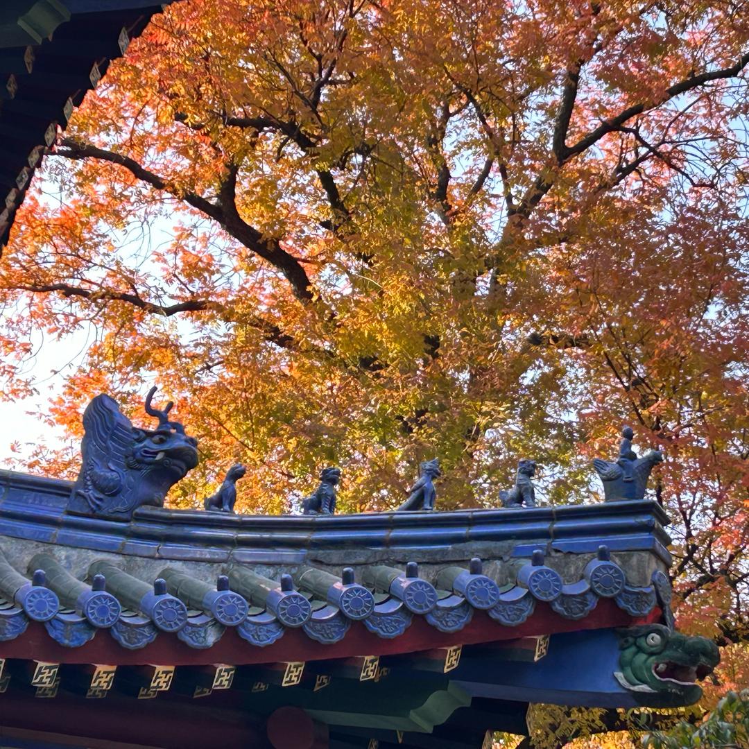 我叫