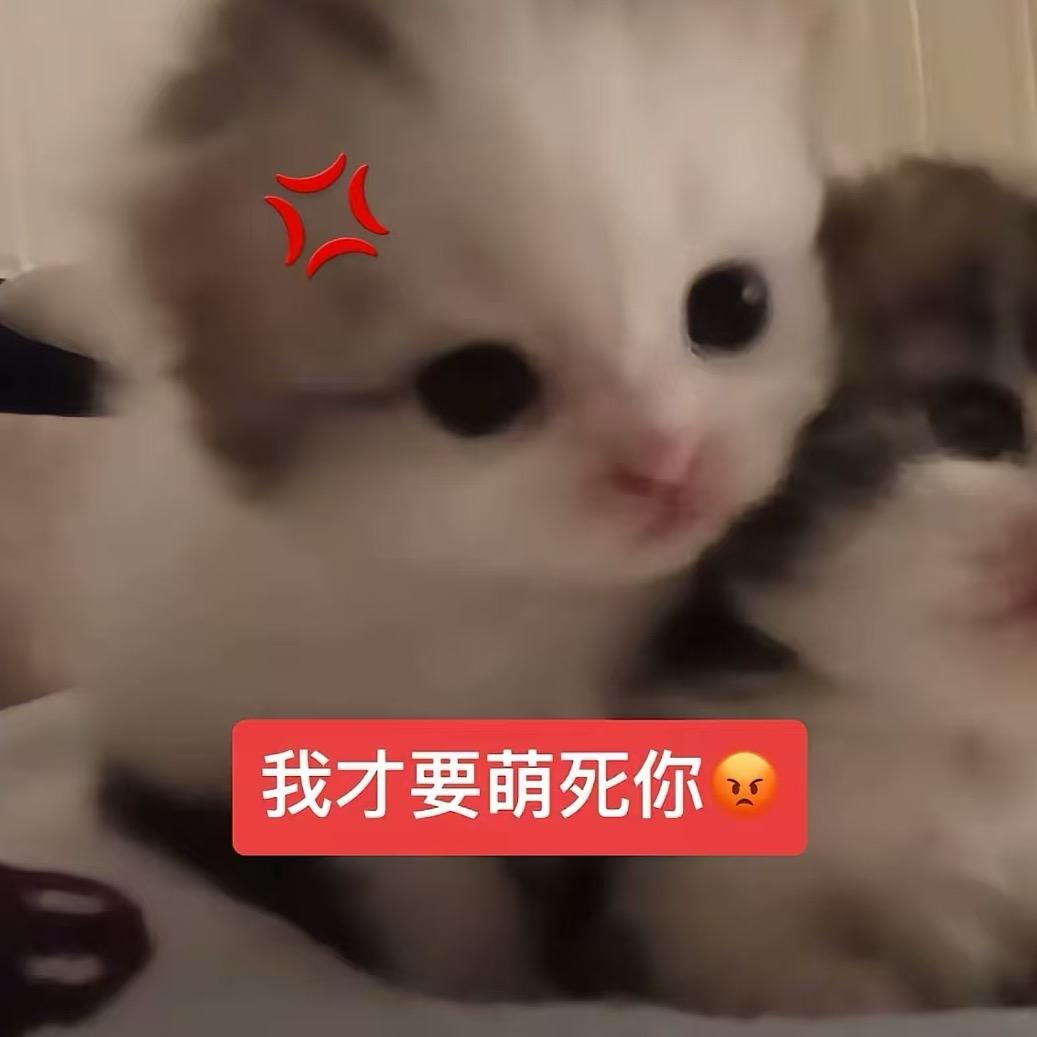 天才少女小忆