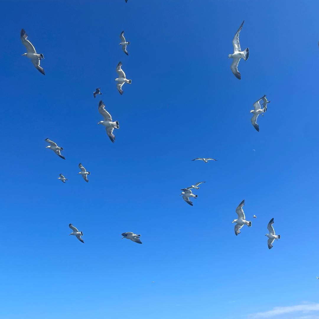 画笔绘星辰