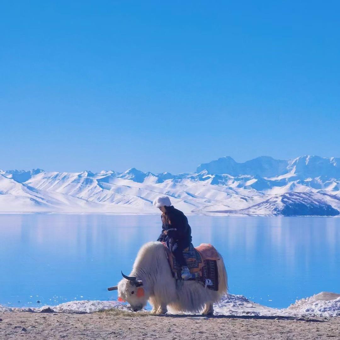 渴乐自驾丨旅行