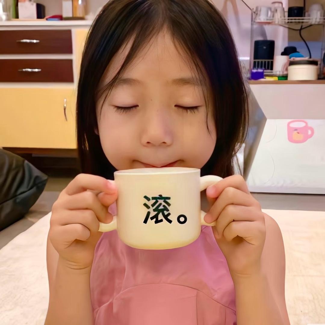 会飞的大鹅