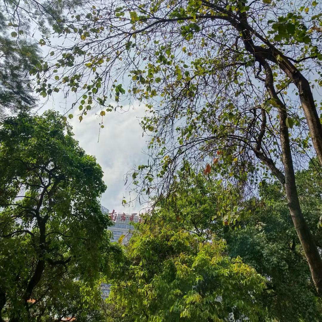 你听我狡辩