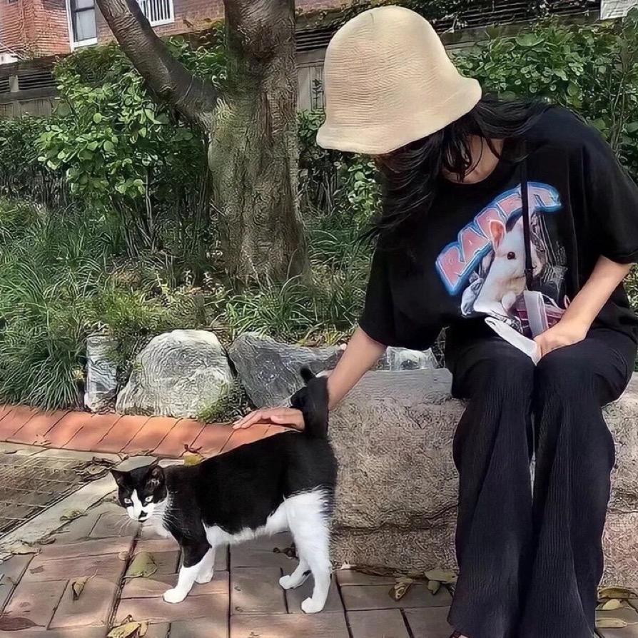 🧚‍♂️岚岚不乖