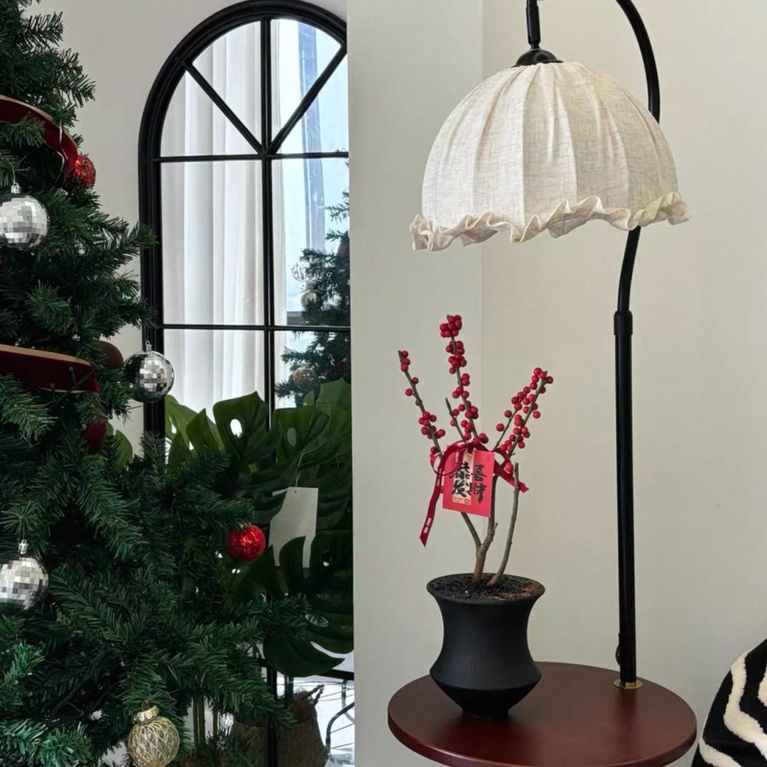 诺一的植研所（青岛北美冬青）