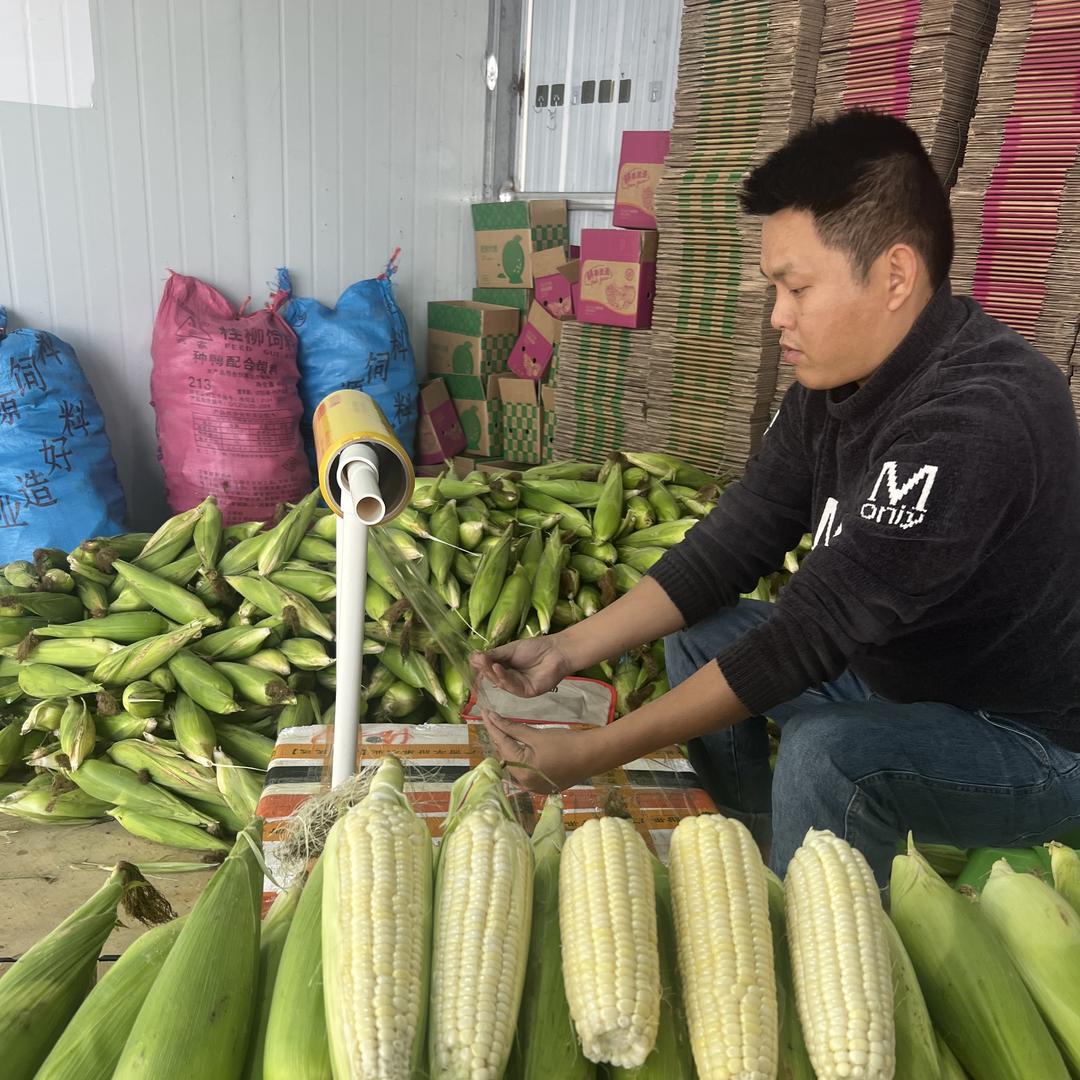 南都硬季水果店