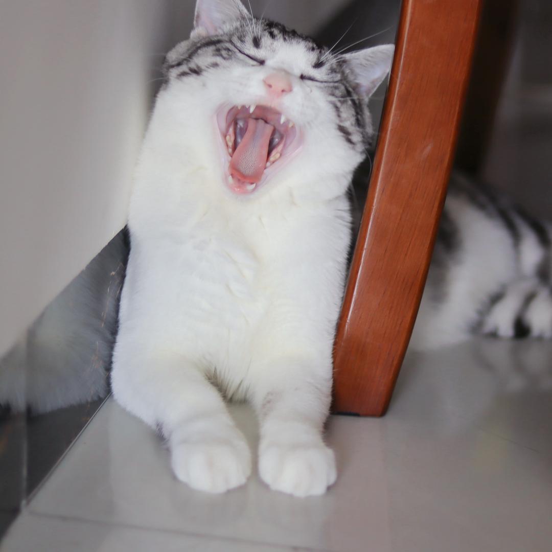 啾你呀