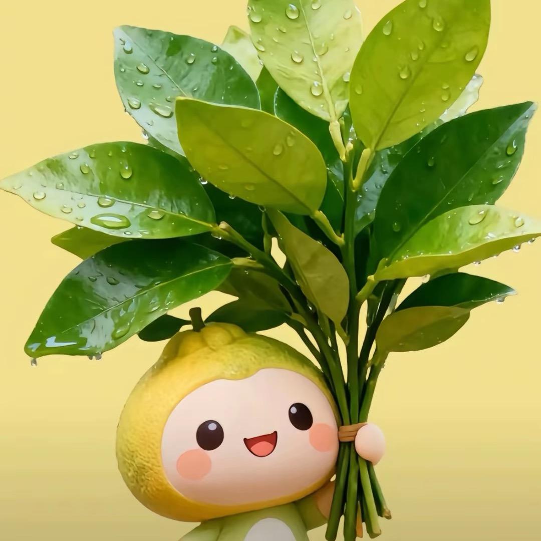 ℳ๓ 是银子啊〆 ℘