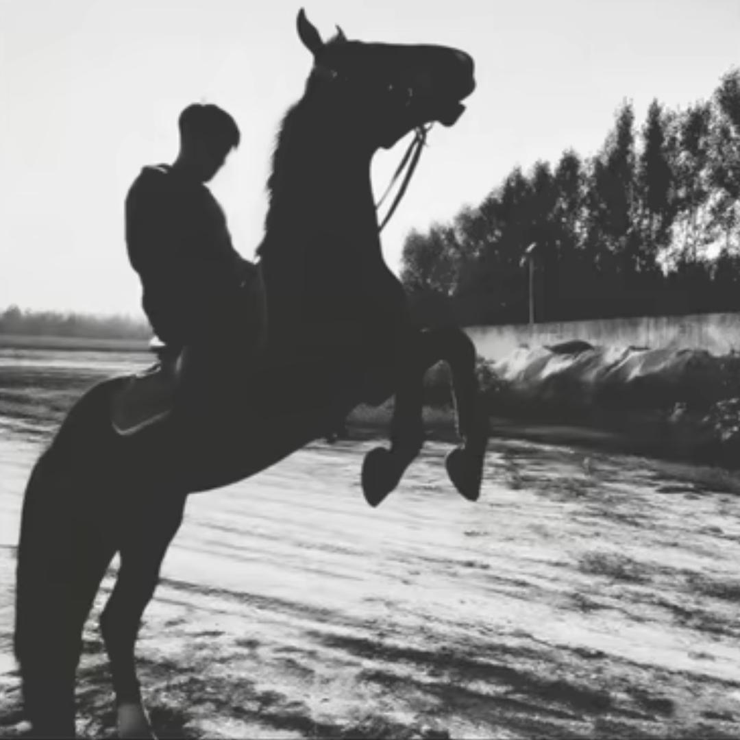 ㅤㅤㅤㅤㅤㅤㅤㅤㅤZ