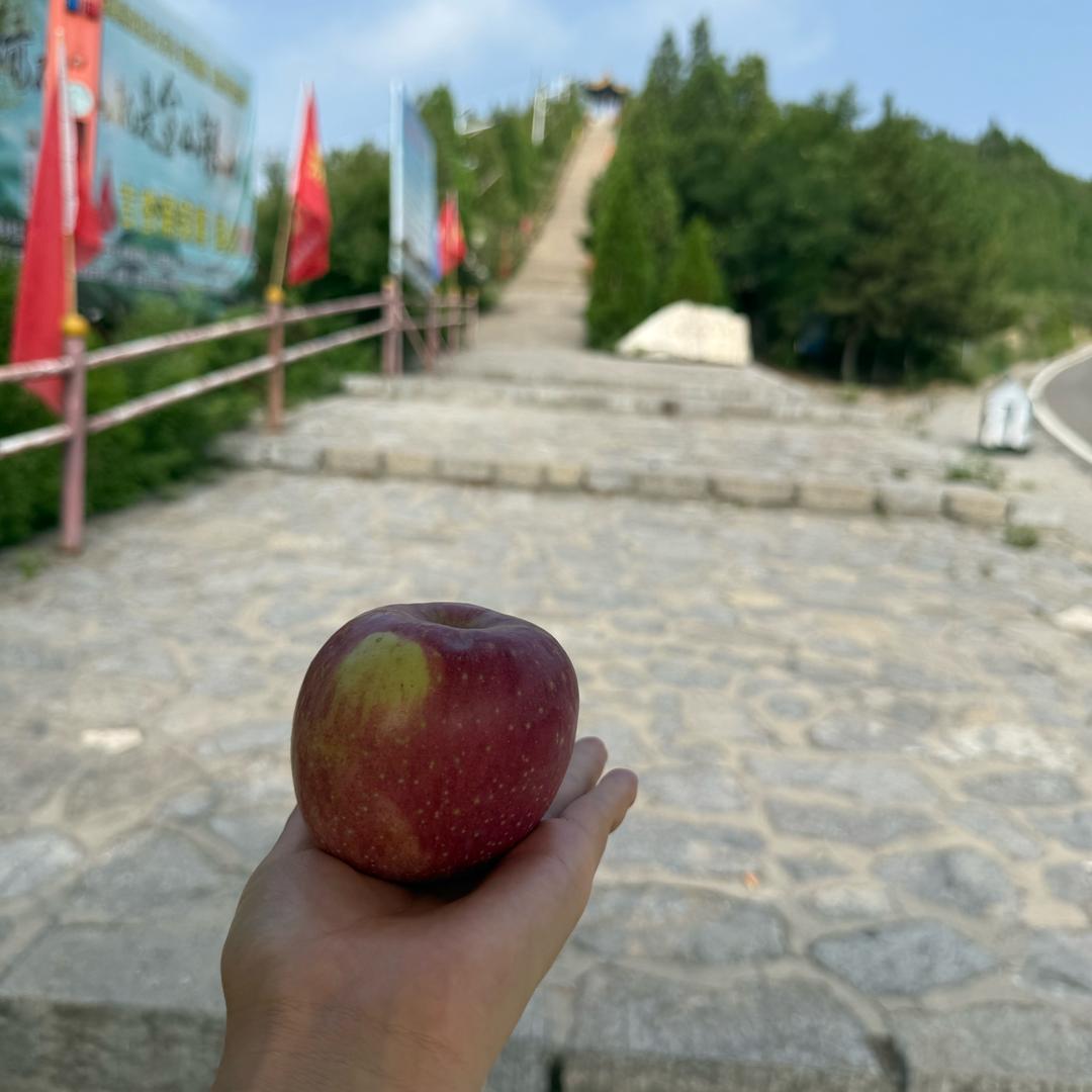 安静做自己💪
