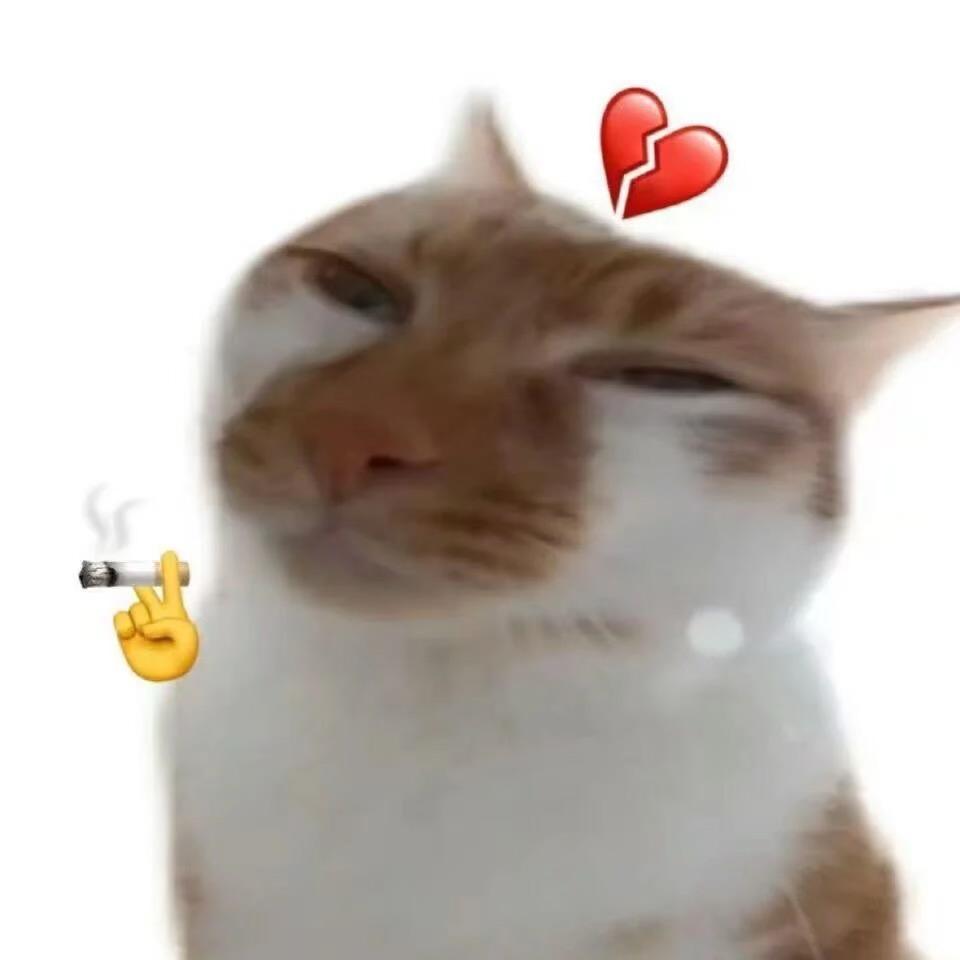果冻🍮