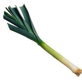 爱吃牛肉的小龙人