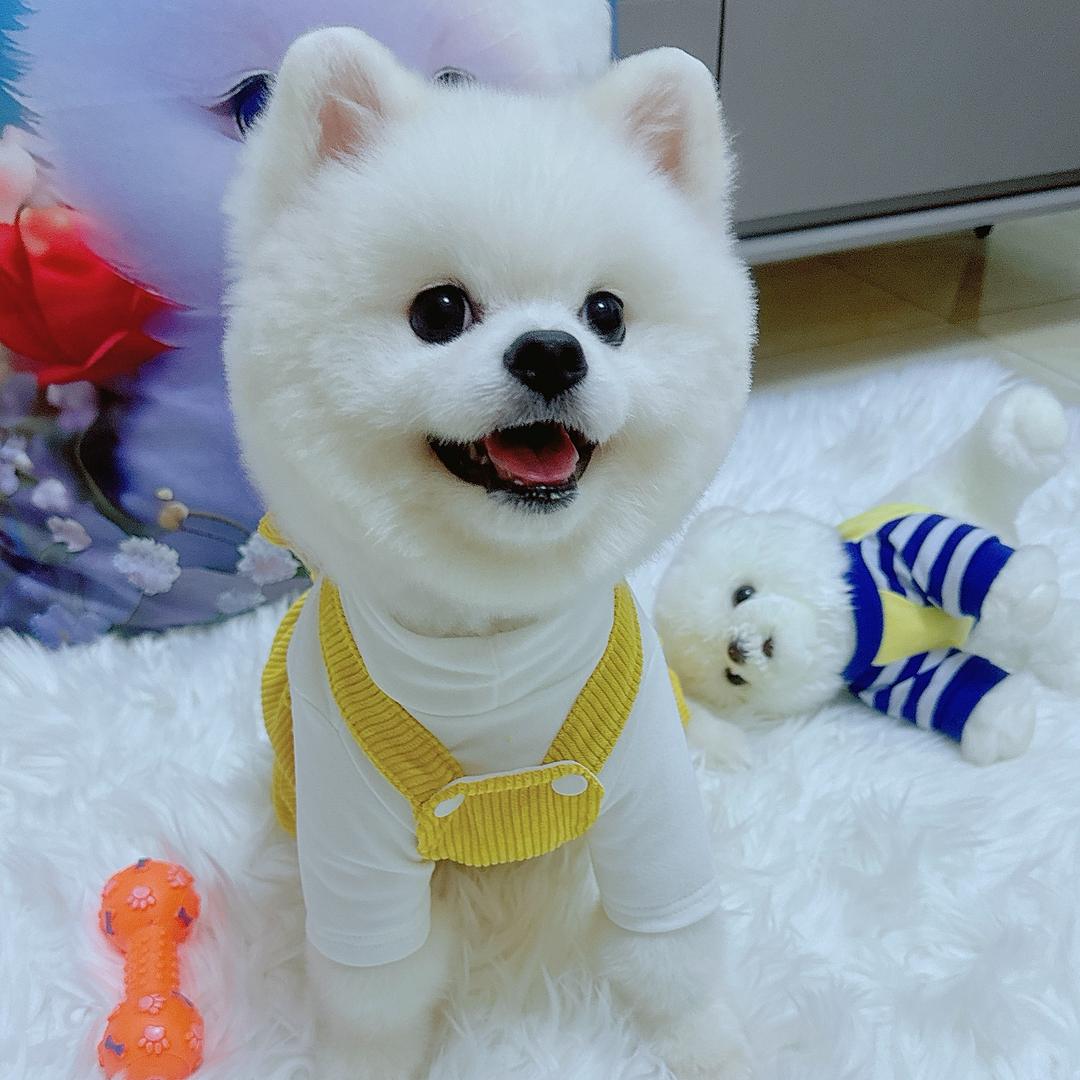 🌈🌻💙琳娜