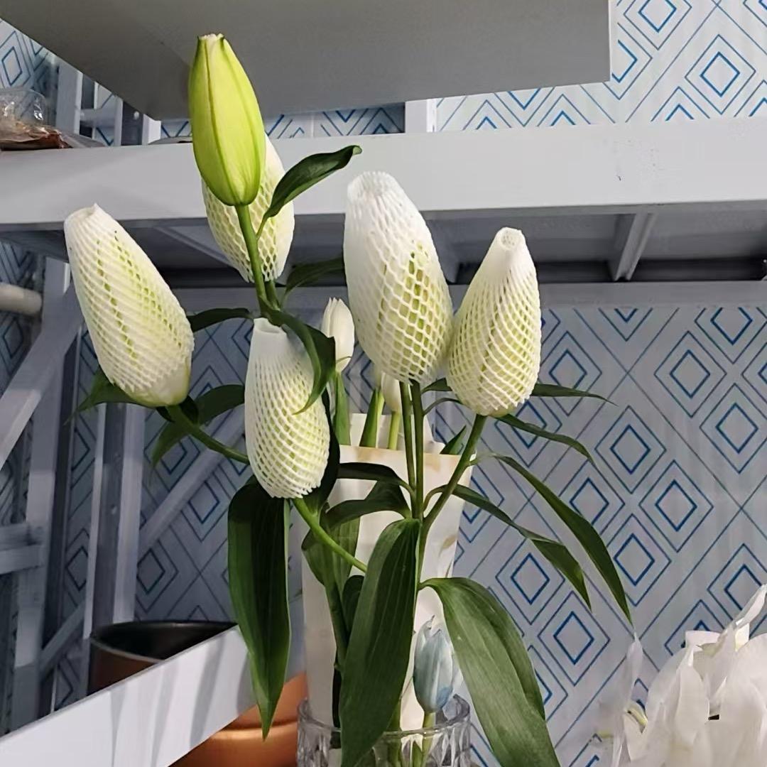 @@名字还在修改