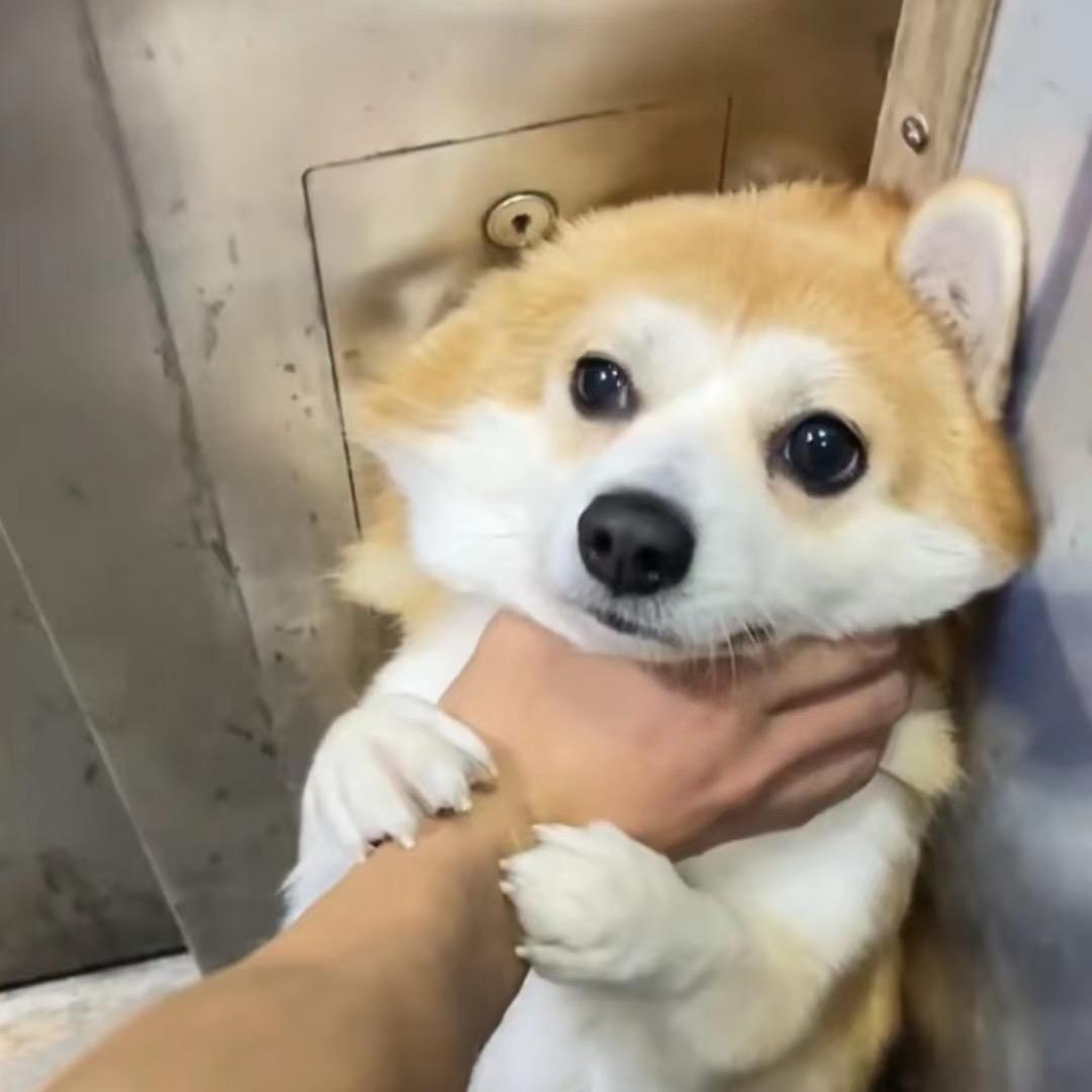 曹孟德