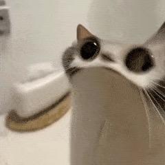 戳到人家了
