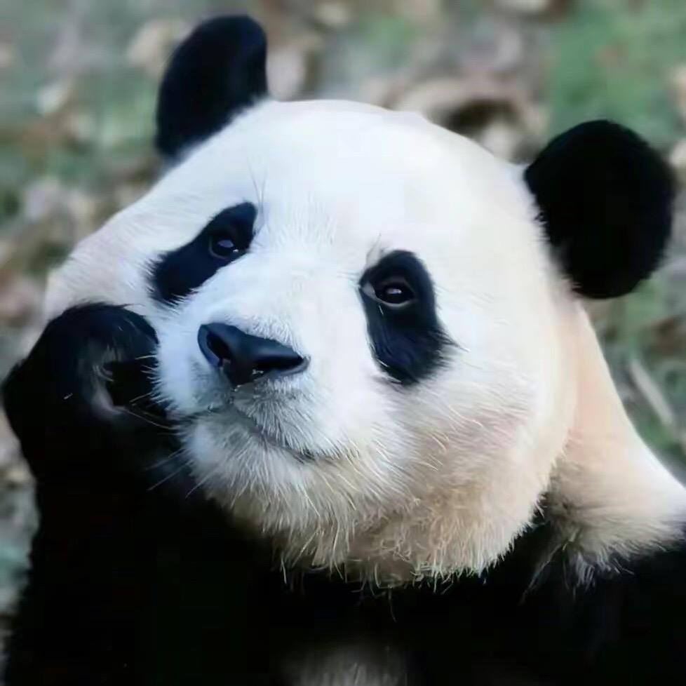 满心欢喜遇见你（公共营养师）