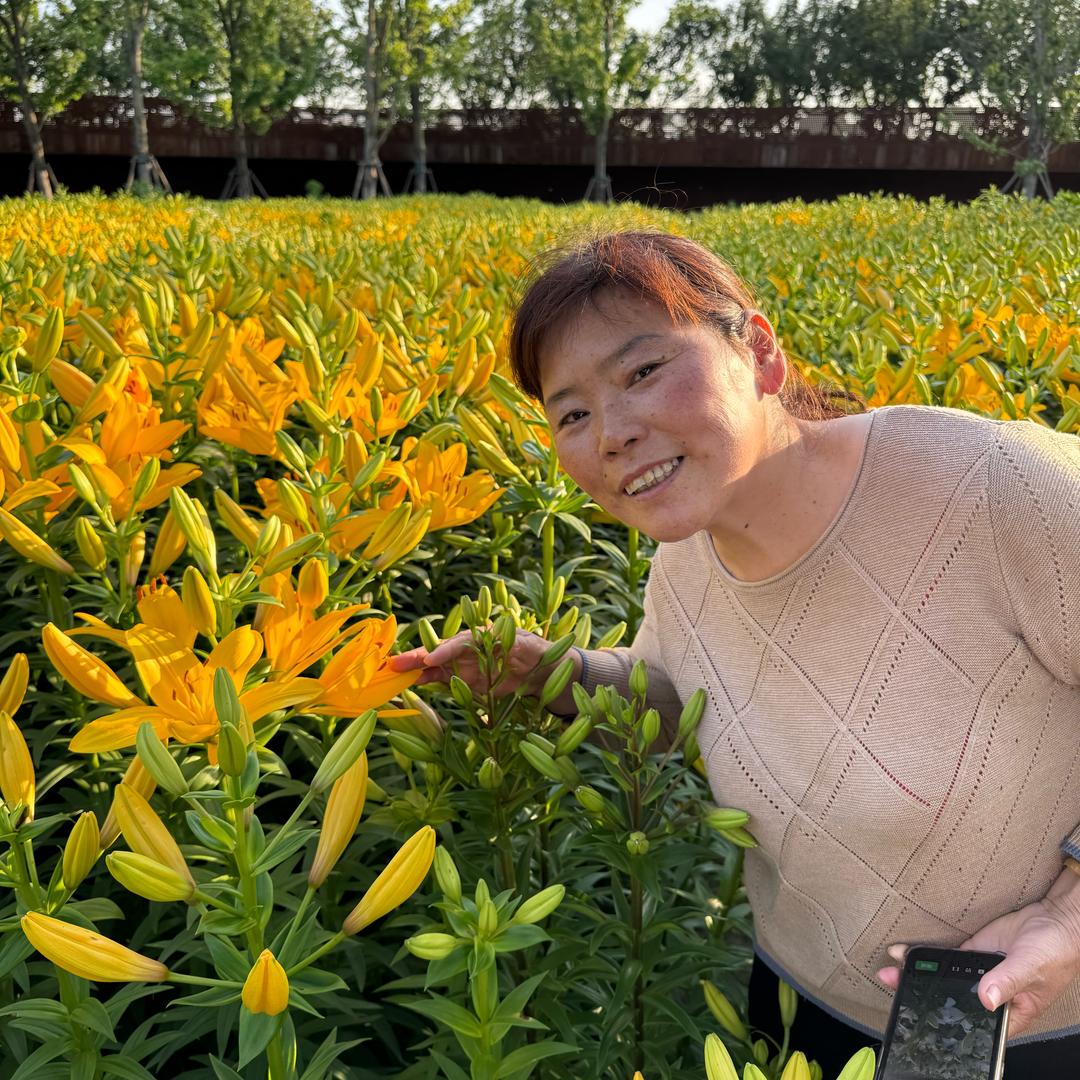 寿春人家土特产传菊