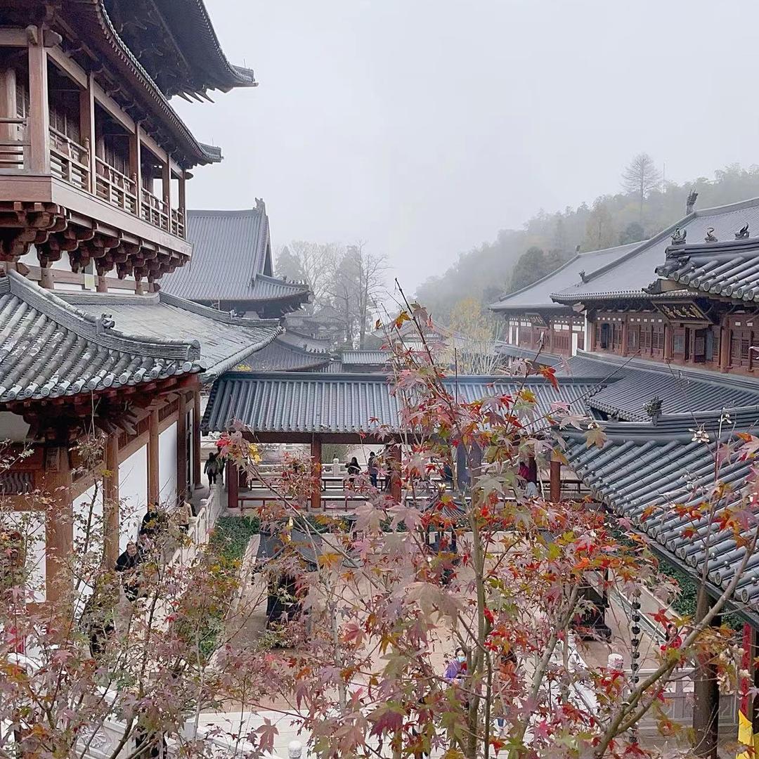 清涛