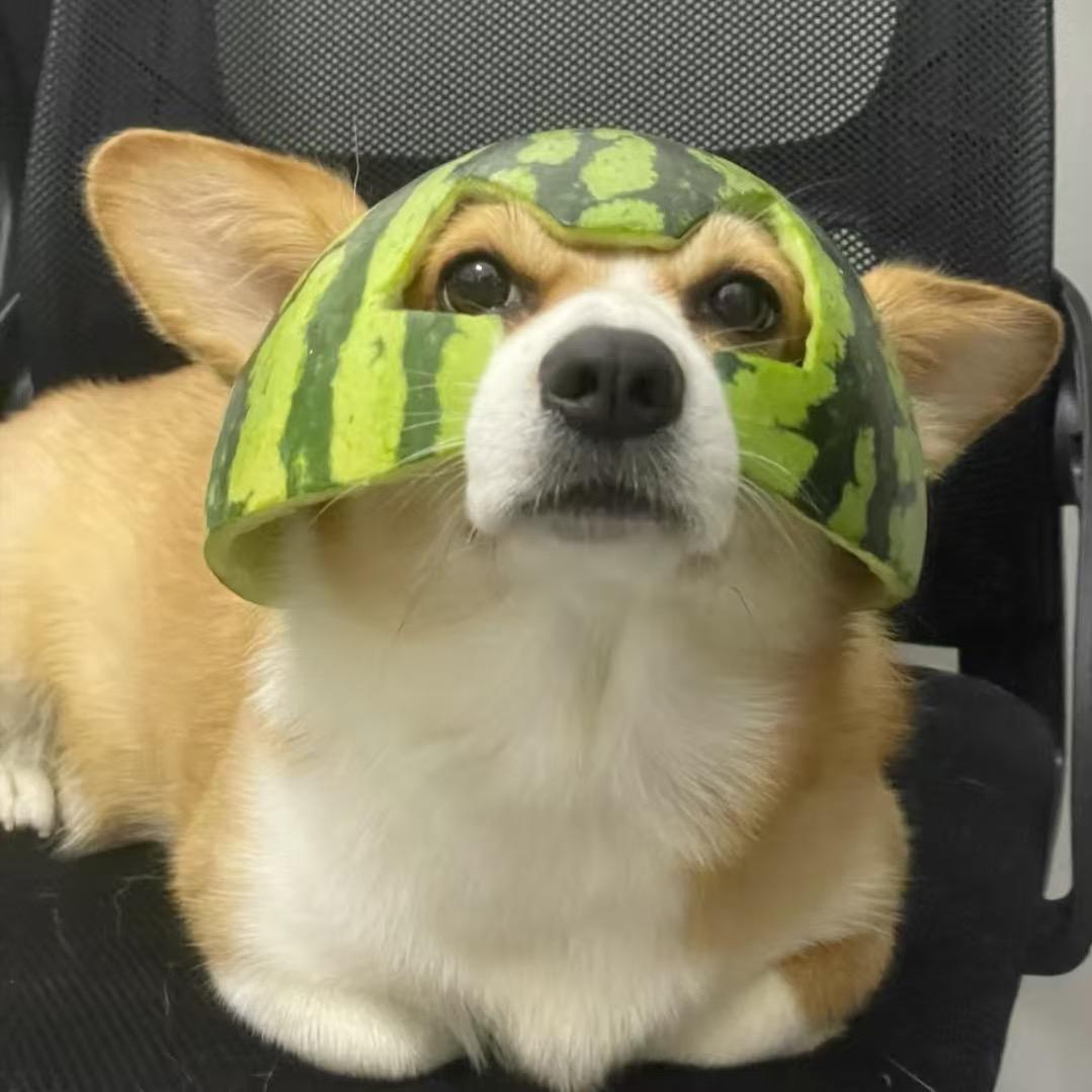 阿泽