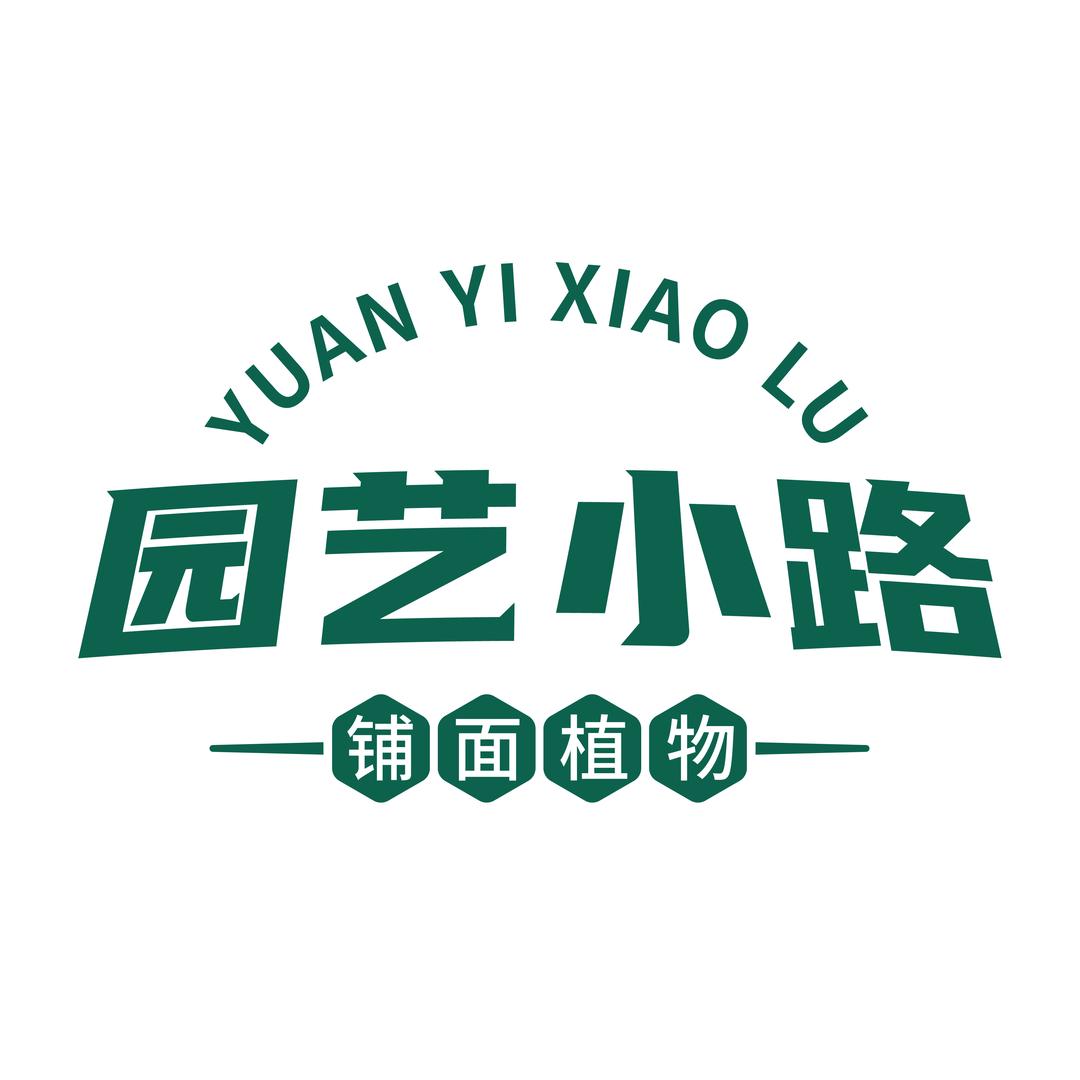 金华铺面植物