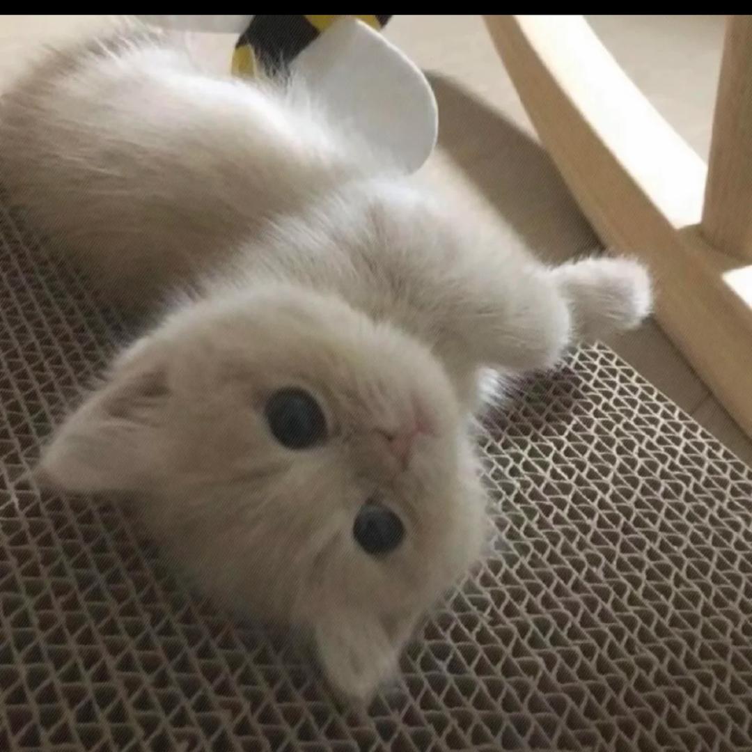 Ciyyuw^