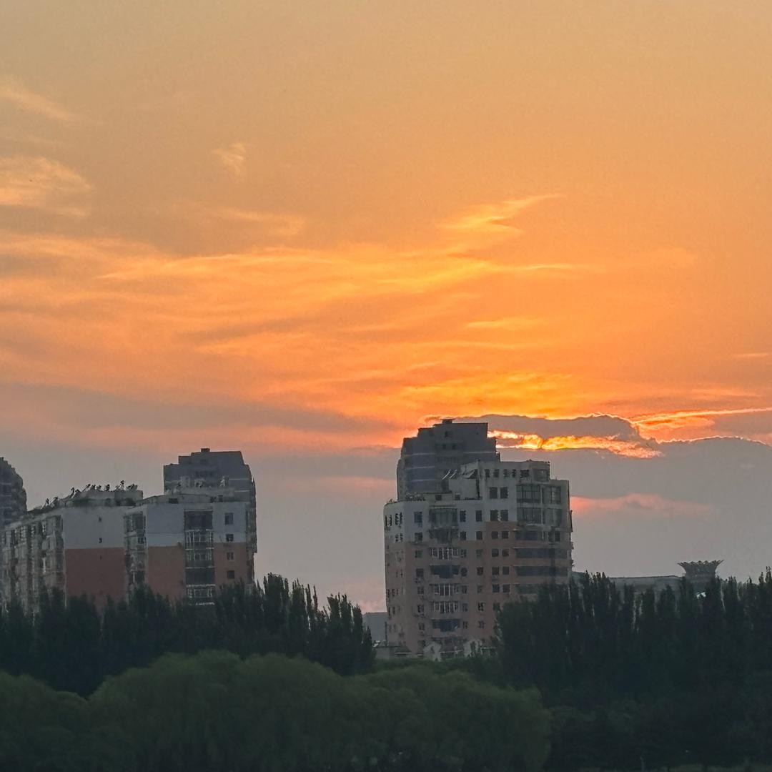大北的情感生活
