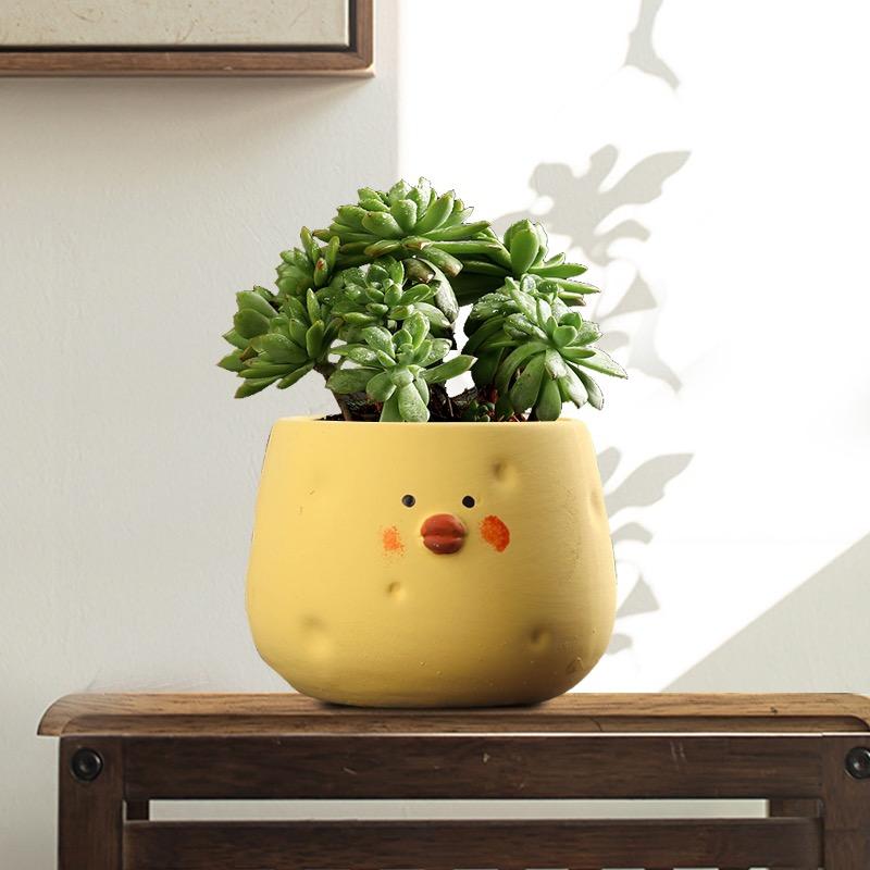 花清坊园艺