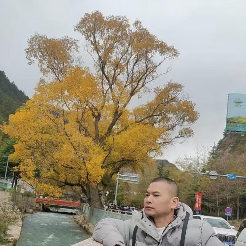 全哥