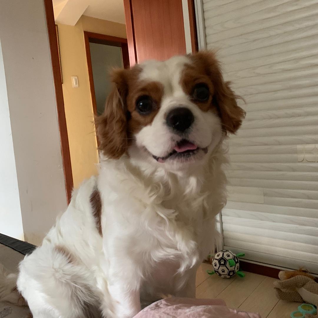 小姐姐
