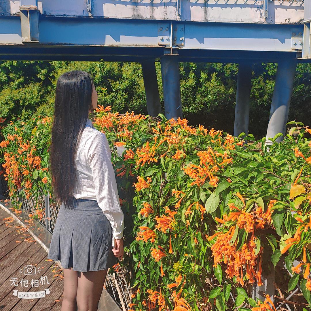 🍓草莓冰淇林