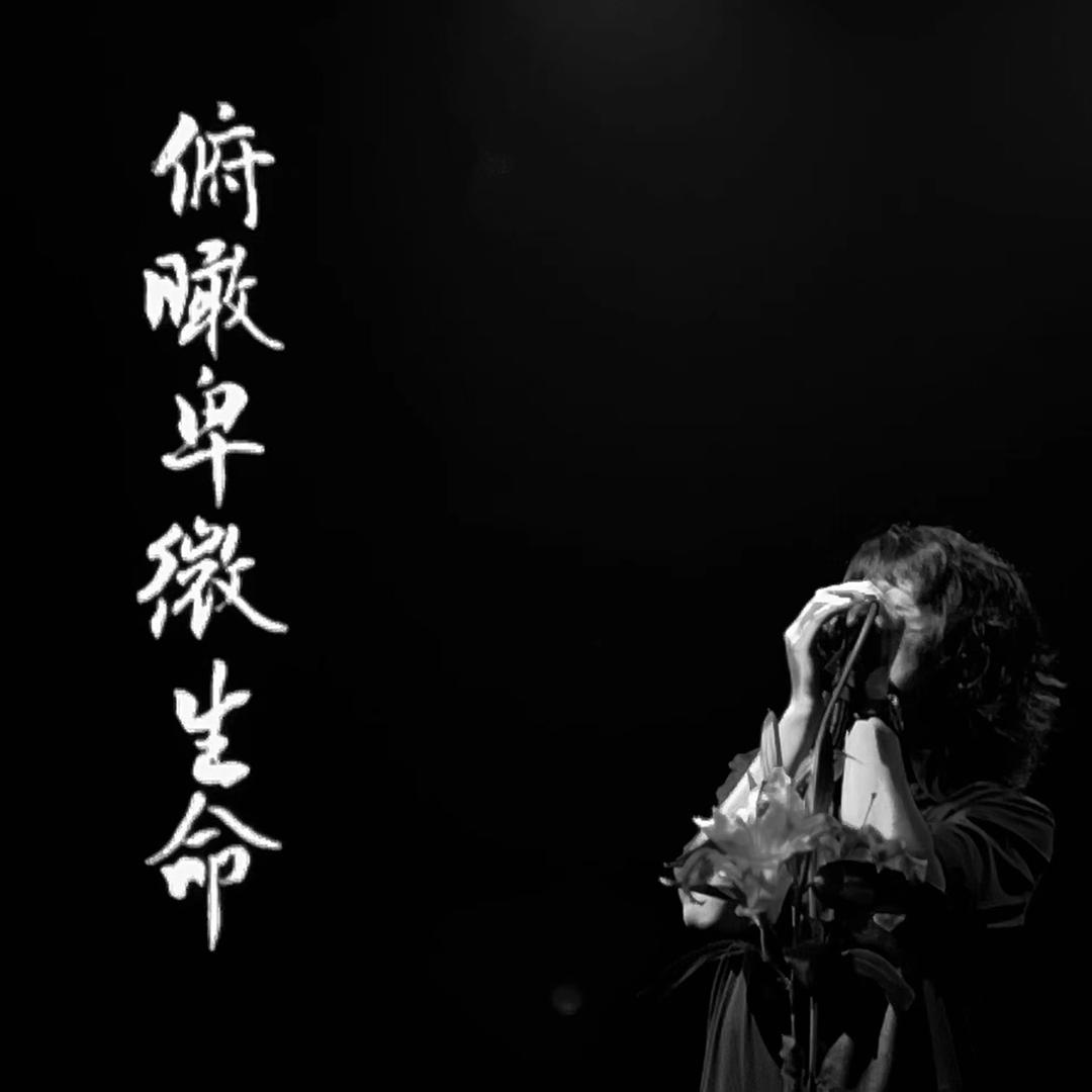 小🐯