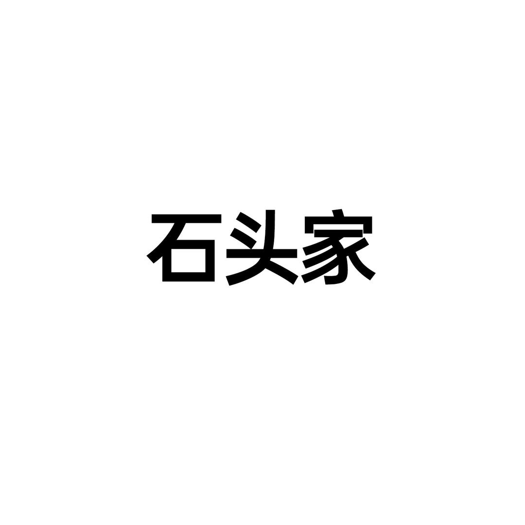 石头家青少年服饰