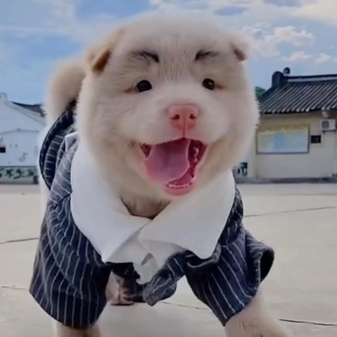 人生十八弯 弯弯不一般