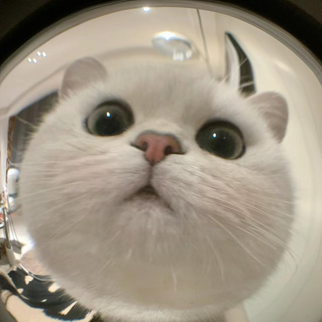 loiliu