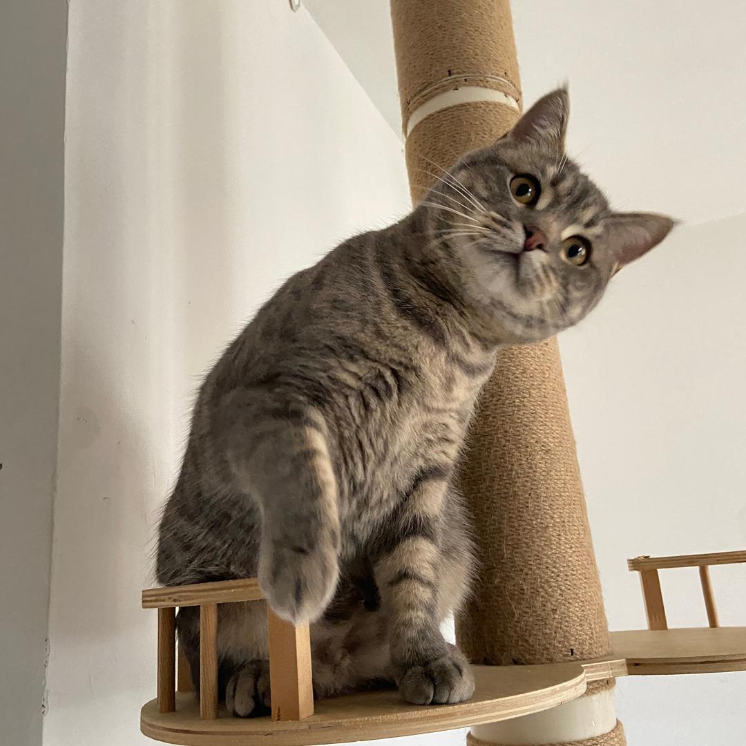 麦点可爱 ¥兜点快乐