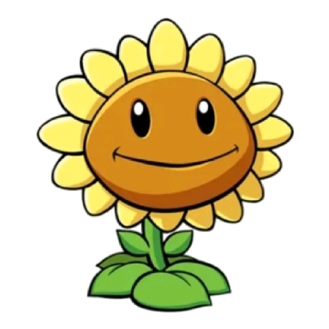 向日葵(生长期)