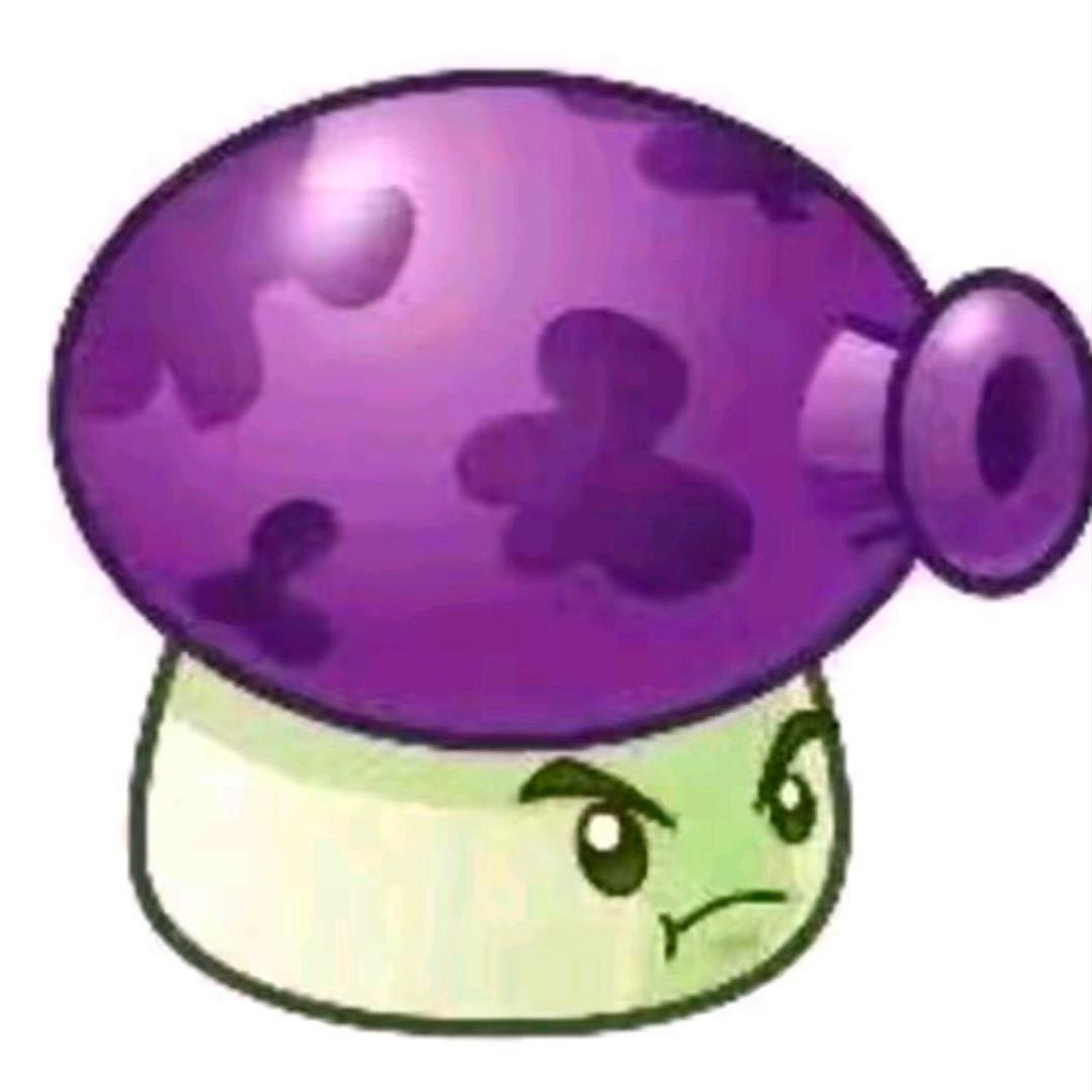 🟣 🟣 🟣 🟣 🟣 🟣