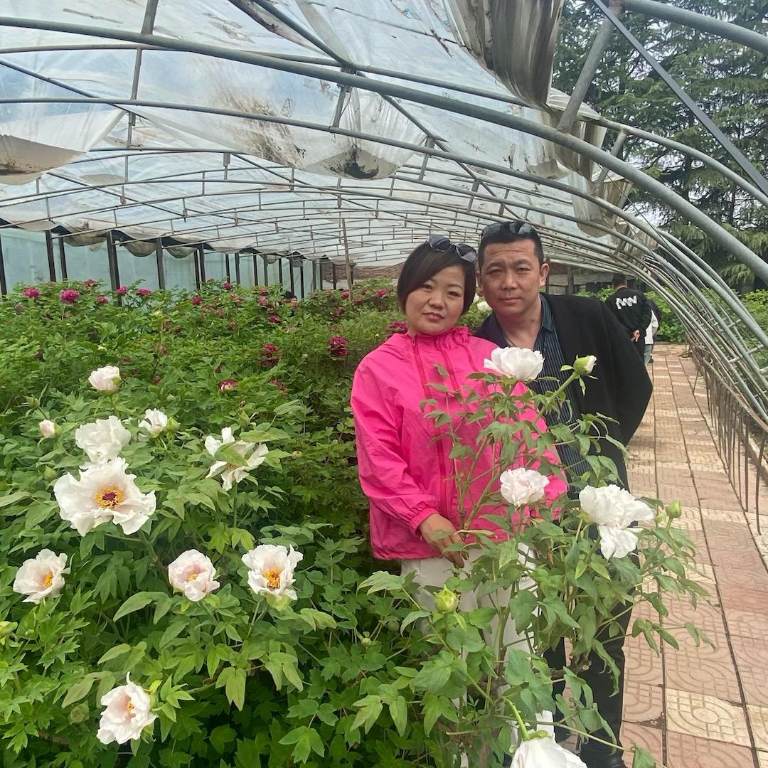 墨锦倾城染青衣@