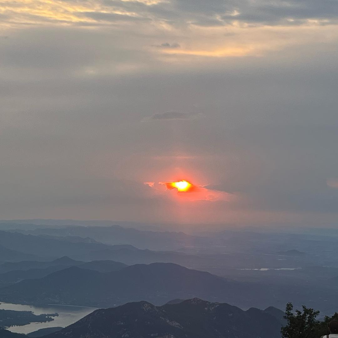 高钙奶