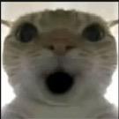 红薯（三角洲行动）