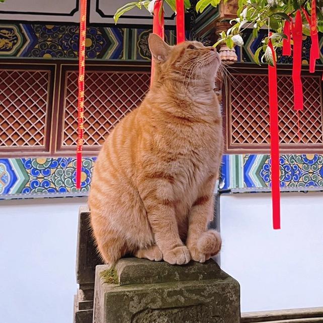 幸福快乐健康
