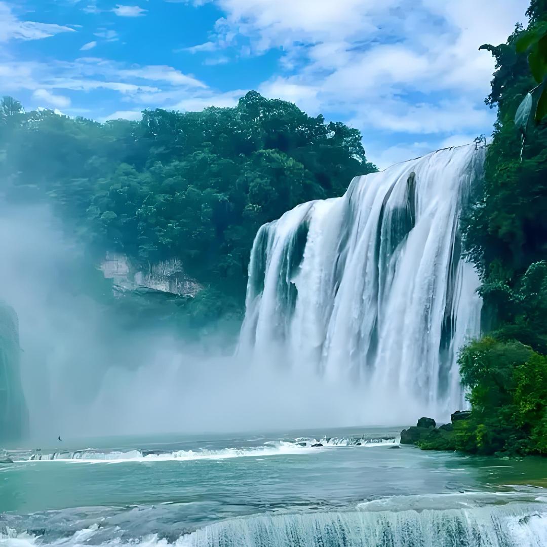 茅台1935，捡漏号