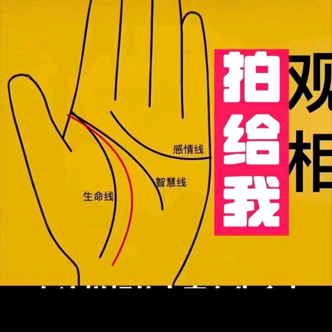 文德师姐