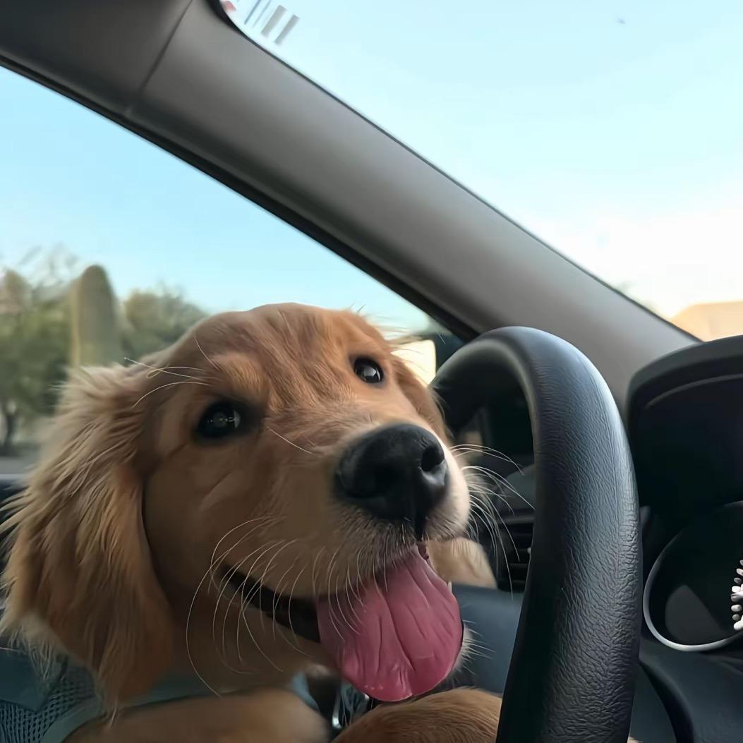 小黄黄的创意小铺