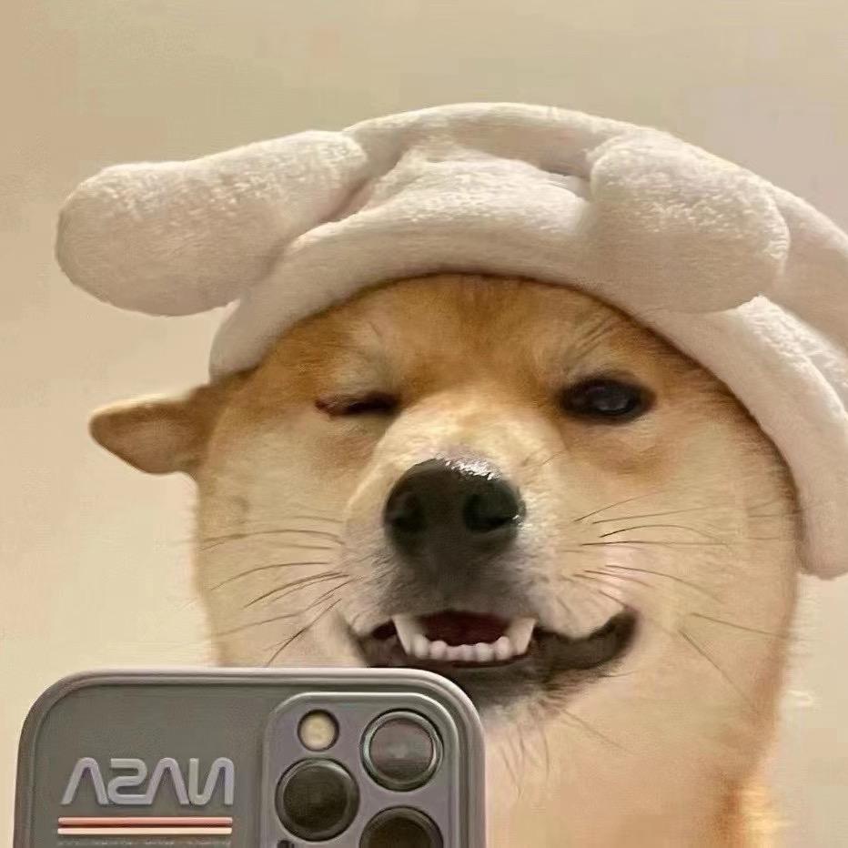 难渡我