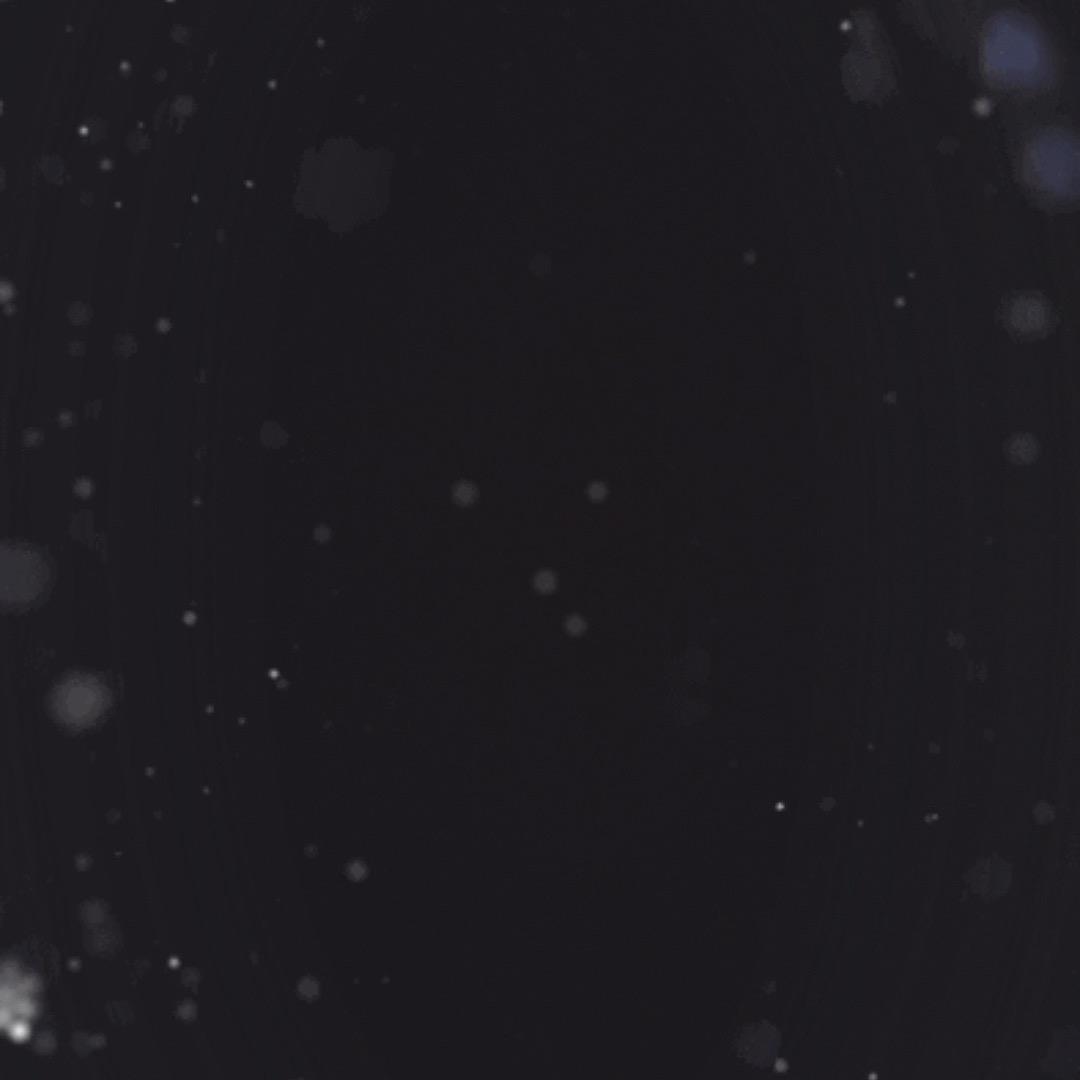 ！