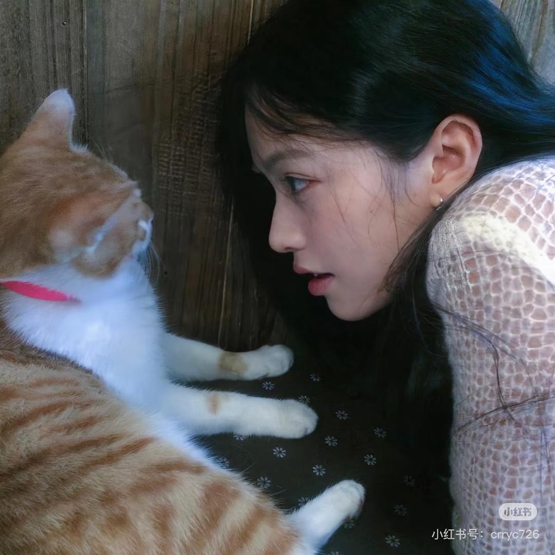 我脑汁有东西🧠