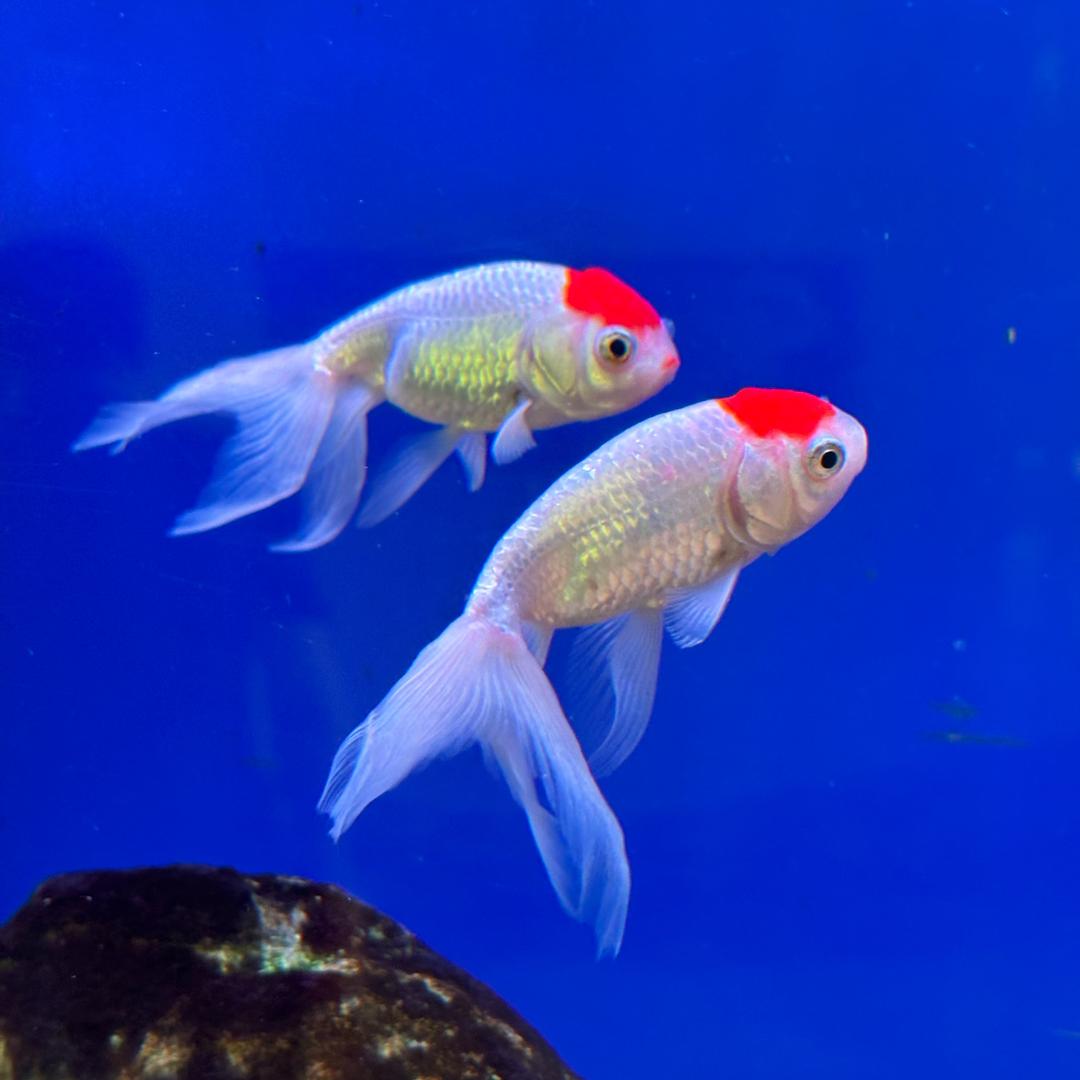 多彩视界