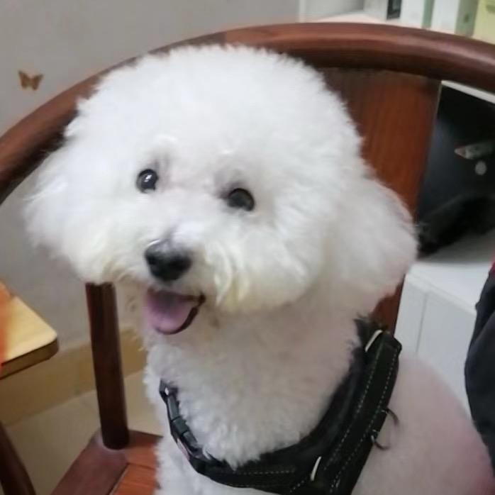 ❤️yhy❤️BD❤️