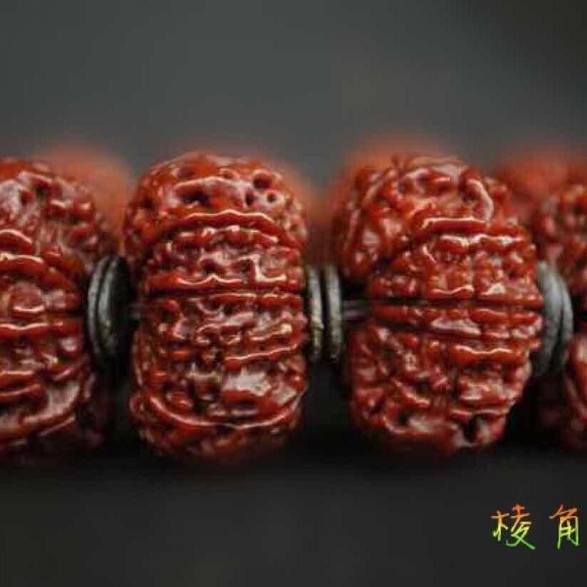 棱角菩提